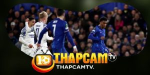 Kèo Double Chance Odds: Đọc Giá Cửa Không Thua